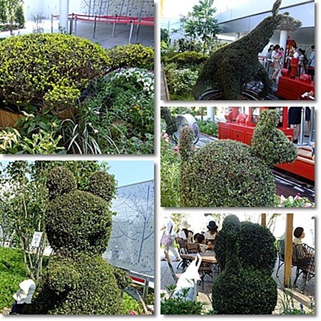 植栽