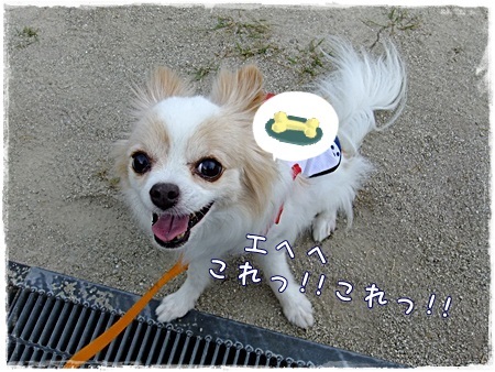 おやつ