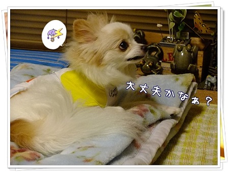 だいじょうぶ?