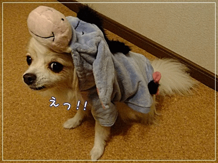 えっ!!