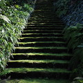 妙法寺の階段
