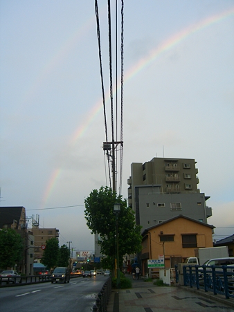 35432906_org