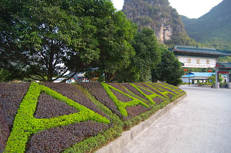 IMGP2871