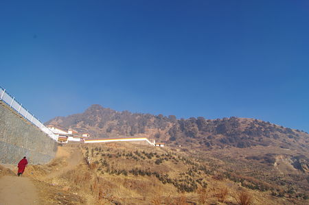IMGP8451