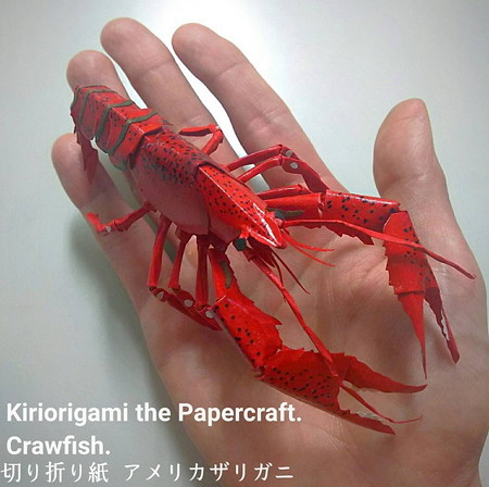 アメリカザリガニ