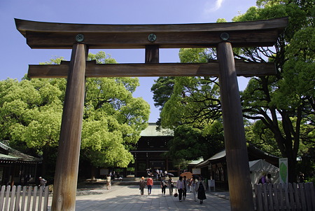明治神宮 (37)