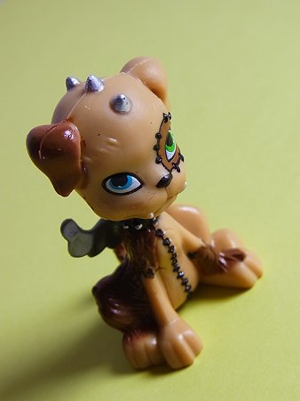 RIMG0068-1