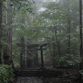 瀧尾神社_12鳥居-6750
