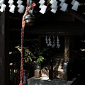 Photos: 09上之台琴平神社-3139