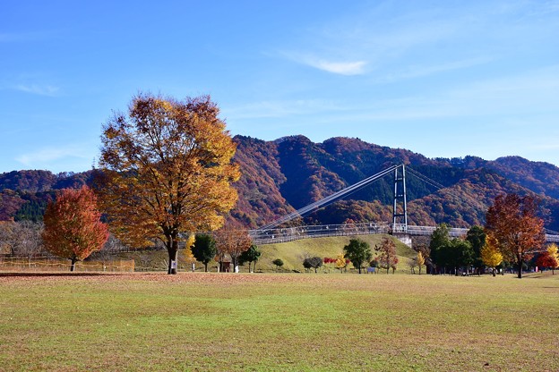 宮ヶ瀬ダム湖畔 広場の紅葉 1611 写真共有サイト フォト蔵