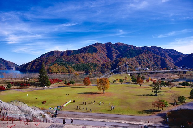 I宮ヶ瀬ダム湖畔の紅葉と楽しむ公園 1611 写真共有サイト フォト蔵