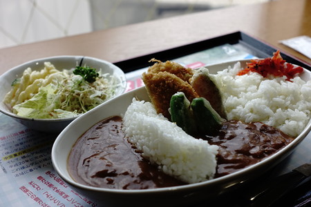 よことくダムカレー(道の駅・夜叉ヶ池の里さかうち【岐阜】)