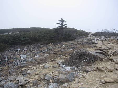 金峰山-20101110-154223
