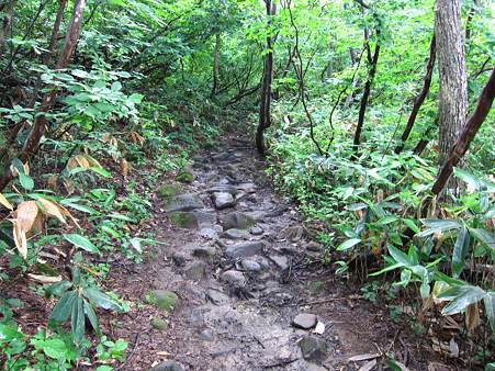 c-110710-070135 登山道の様子