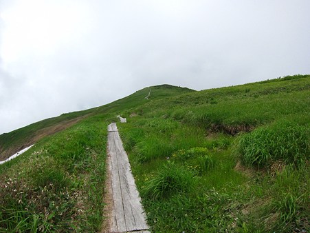c-110710-112448 木道のある山頂付近
