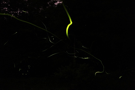 c-110703-210156