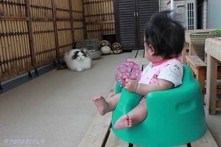 ベランダでお座り5