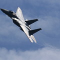 岐阜基地航空祭10 F-15