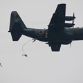 Photos: 降下訓練始め5 C-130からの空挺降下