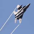 Photos: 百里基地航空祭01 F-15