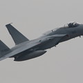 百里基地航空祭41 F-15