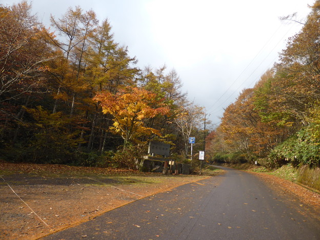 岡山県立森林公園