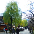 京都 祇園白川