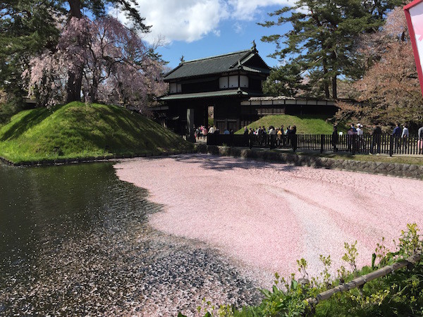 Nikonで私が撮ったより、iPhoneで家内が撮ったほうが上手