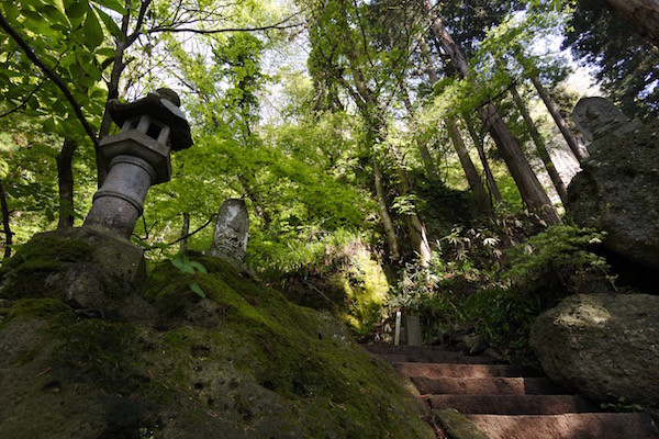 緑に囲まれて山道を登っていく