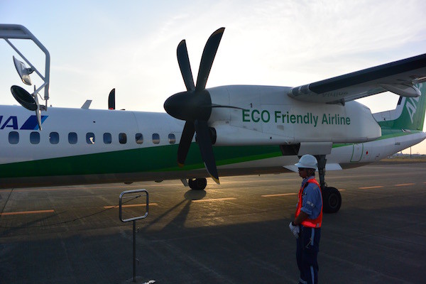 ANAの緑の飛行機「エコボン」