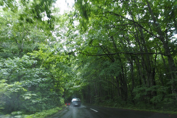 「青い森」という名の通り、緑ですが青い森 「青い森」という名の通り、緑ですが青い森