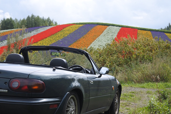 美瑛の花畑とユーノスロードスター