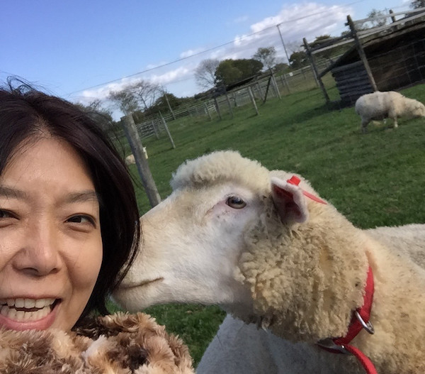 恵庭の公園で動物と戯れて楽しむ
