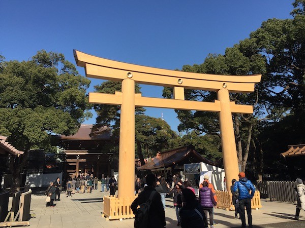 代々木公園から明治神宮へ