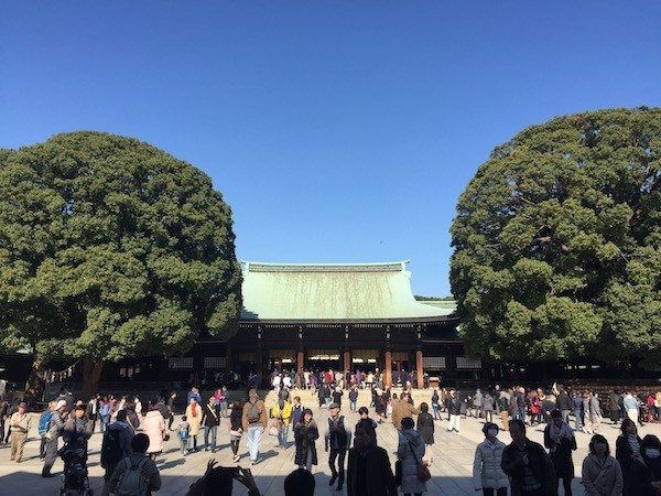 まぶしく光る銅が渋い緑に変わる