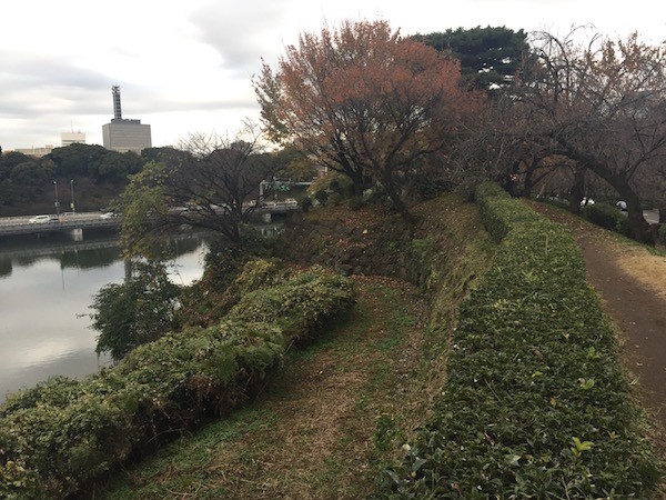 皇居（江戸城）の石垣沿いを歩いて