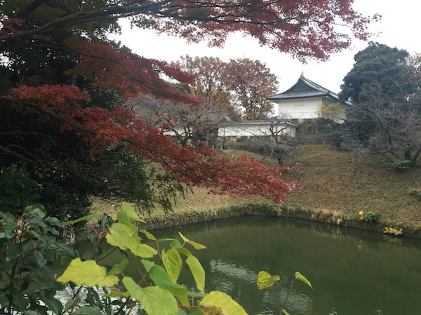 靖国通りに出てから振り返ってみる北の丸公園の田安門