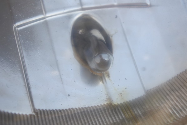 車幅灯の下に何やら液体が流れた様な茶色の汚れ