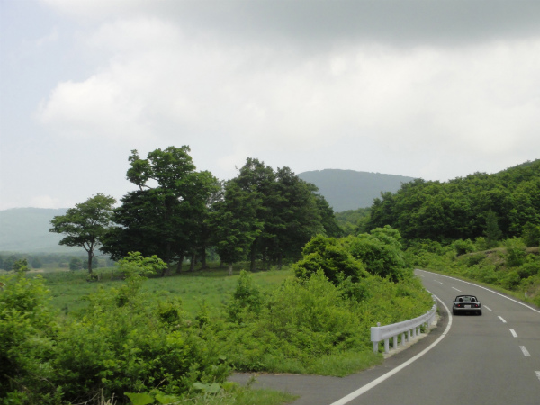 高原的な雰囲気の景色の中を走る