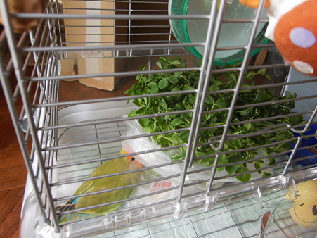 PICT0153