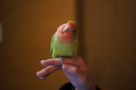 DSC06042