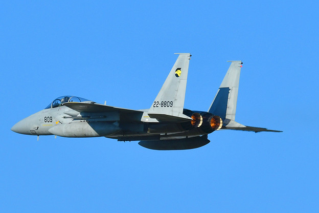 入間航空祭 F15のｱﾌﾀｰﾊﾞｰﾅｰ 写真共有サイト フォト蔵