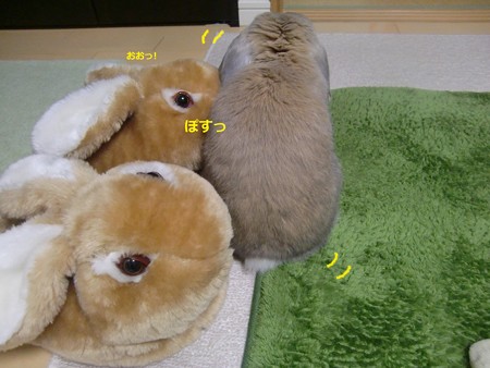 兄弟3
