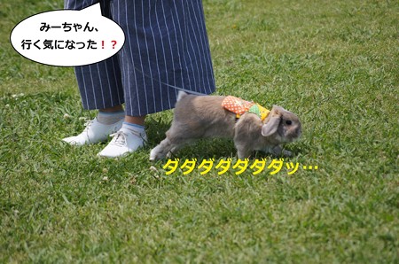 う5