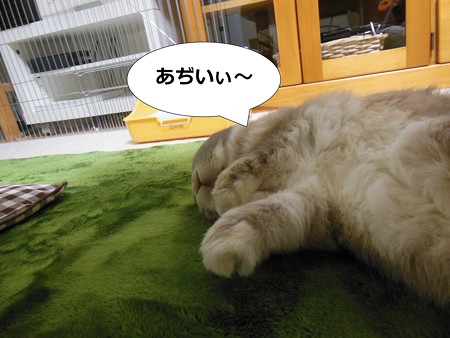 あ1
