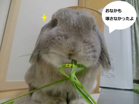お土産5