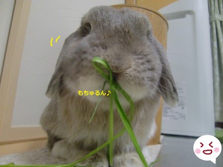 お土産6