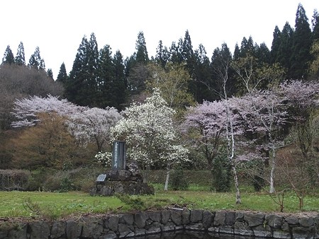 28 GW 秋田 湯の沢温泉 農村環境改善C 2