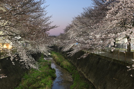 2017三沢川その1