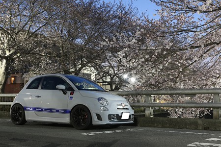 2017三沢川その2